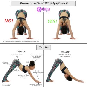 DOWNWARD FACING DOG ADJUSTMENTS – Elena Miss Yoga