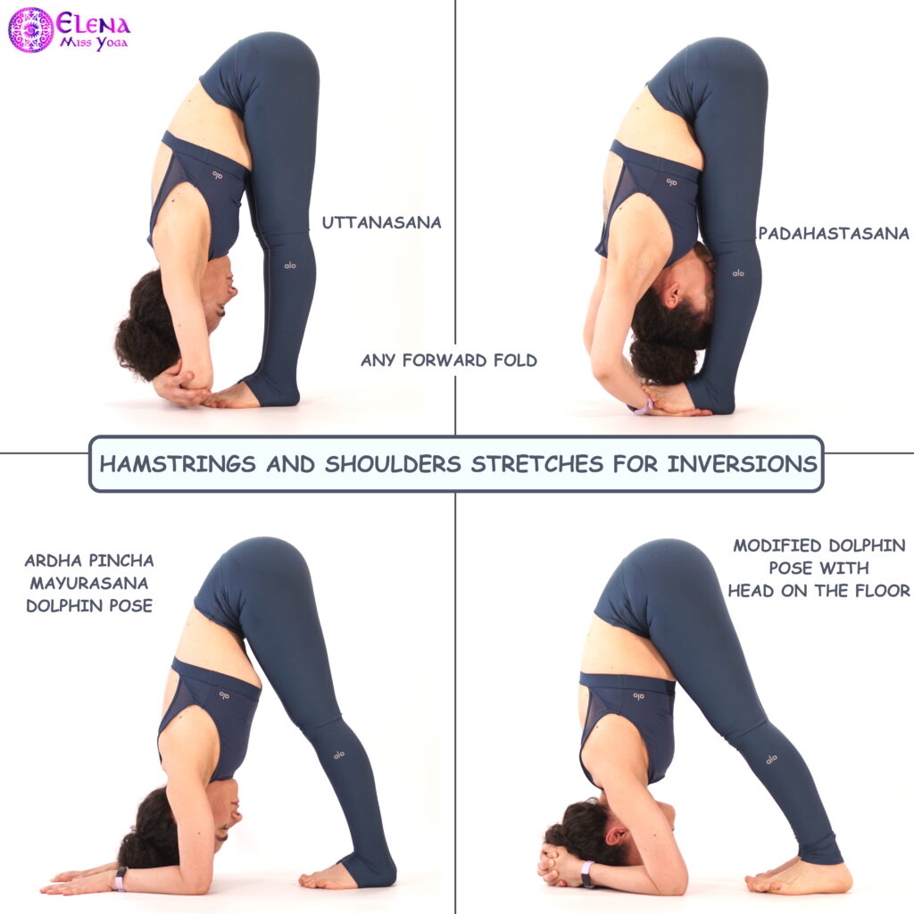 dolphin pose to headstand